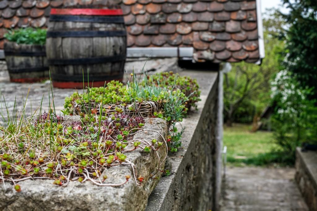 Myrtus Pince Es Vendeghaz Hotel Tarcal Cameră foto