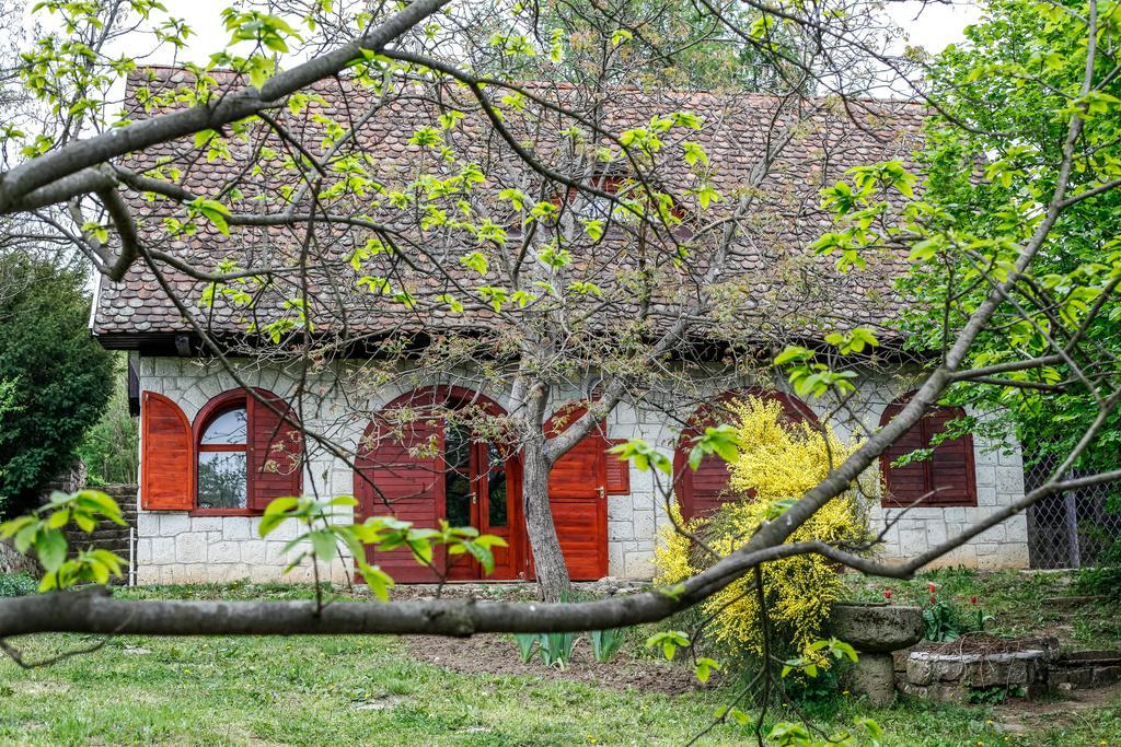 Myrtus Pince Es Vendeghaz Hotel Tarcal Cameră foto